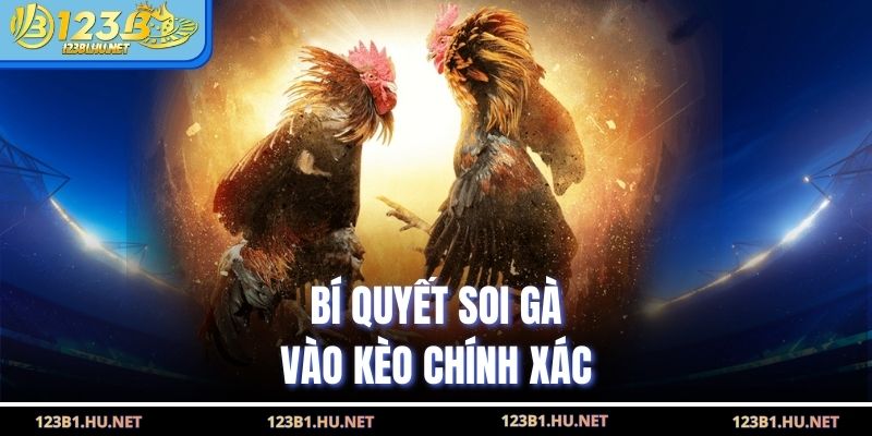 Bí quyết soi gà vào kèo chính xác