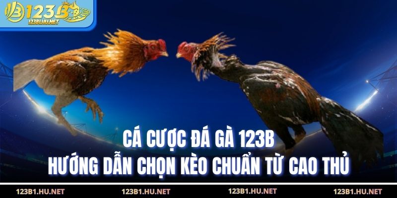 Cá Cược Đá Gà 123B Hướng Dẫn Chọn Kèo Chuẩn Từ Cao Thủ
