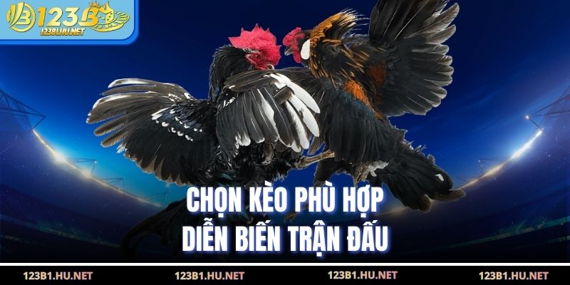 Chọn kèo phù hợp diễn biến trận đấu