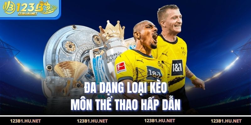 Đa dạng loại kèo môn thể thao hấp dẫn