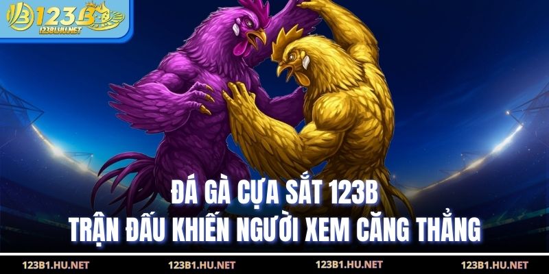 Đá Gà Cựa Sắt 123B - Trận Đấu Khiến Người Xem Căng Thẳng
