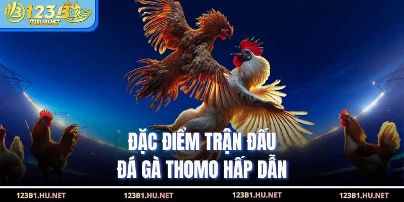 Đặc điểm trận đấu đá gà Thomo hấp dẫn