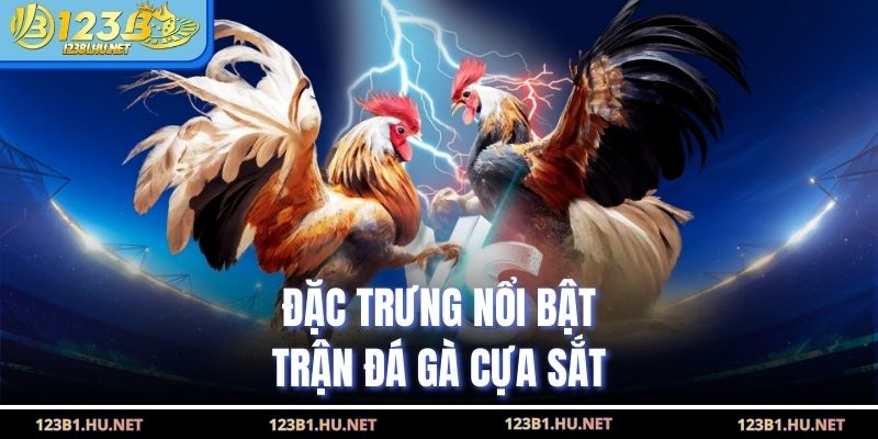 Đặc trưng nổi bật trận đá gà cựa sắt