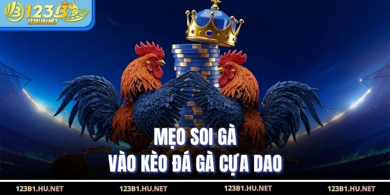 Mẹo soi gà vào kèo đá gà cựa dao